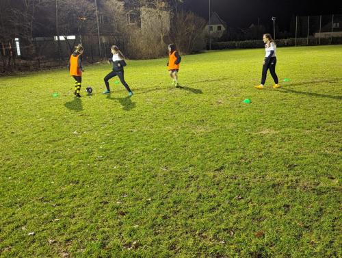 Training